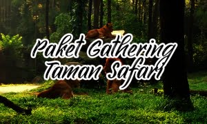 Paket Fun Gathering Taman Safari Indonesia