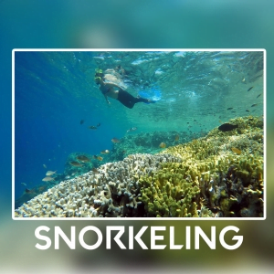Spot Snorkeling Populer Di Raja ampat